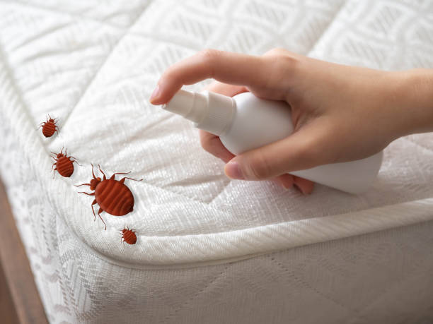 Best Best Pest Control Companies  in Huntington, TX