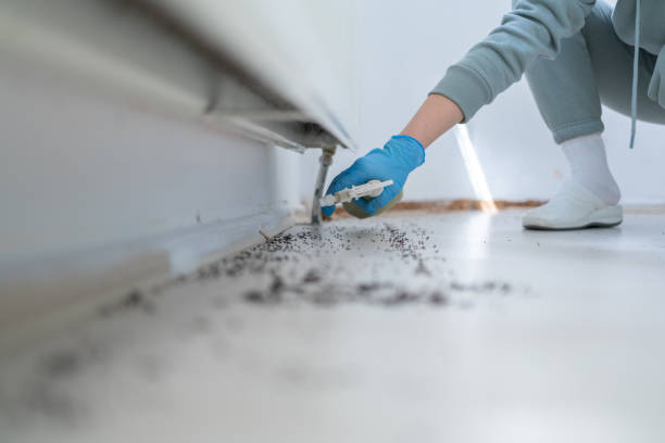 Best Residential Pest Control  in Huntington, TX